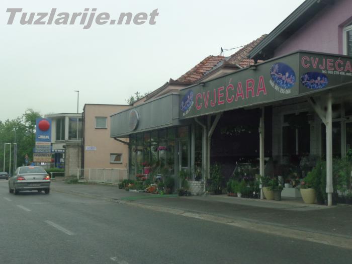 Tuzlarije