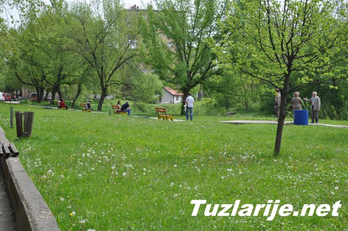 Tuzlarije