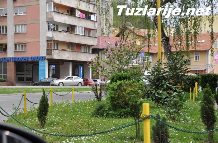 Tuzlarije