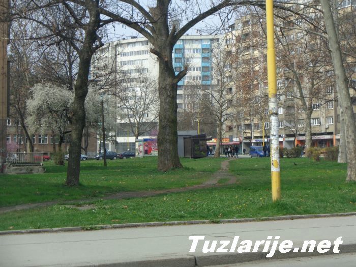 Tuzlarije