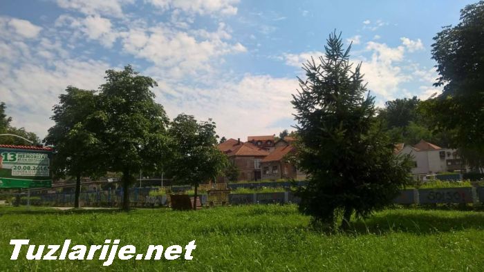 Tuzlarije