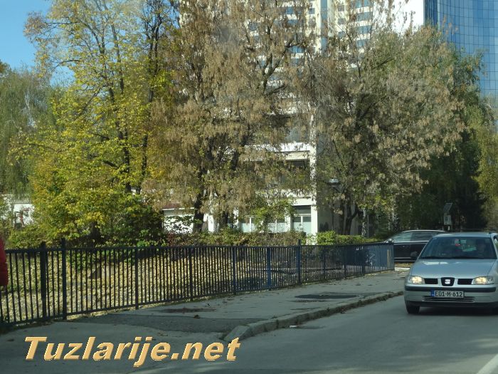 Tuzlarije