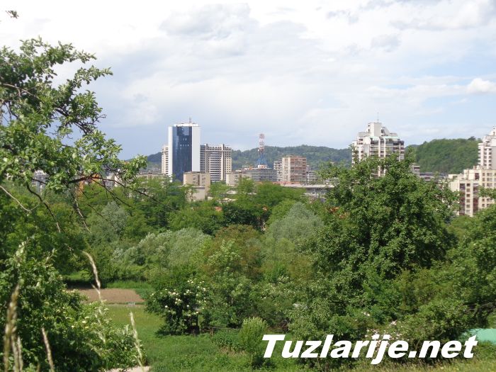 Tuzlarije