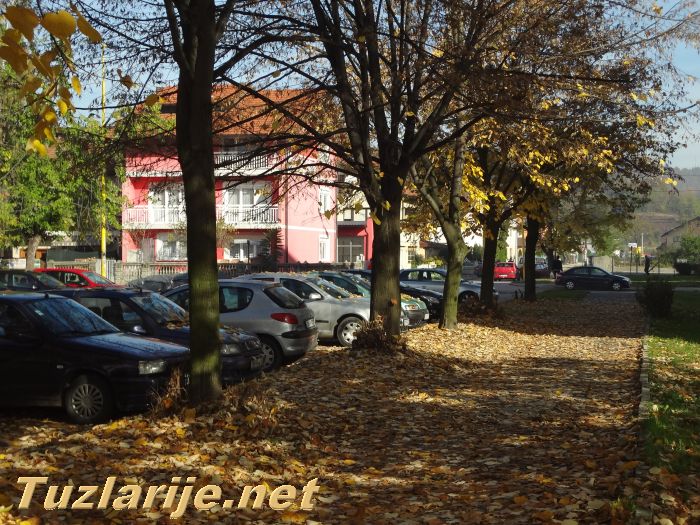 Tuzlarije
