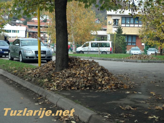 Tuzlarije