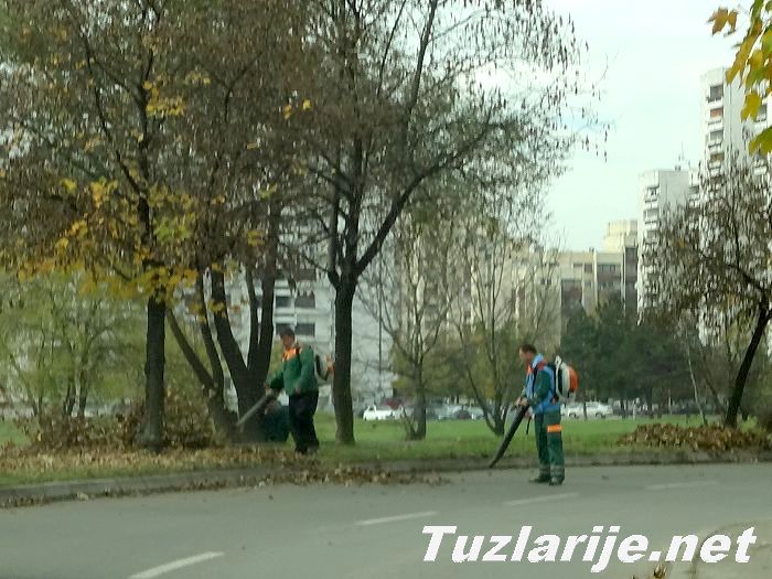 Tuzlarije