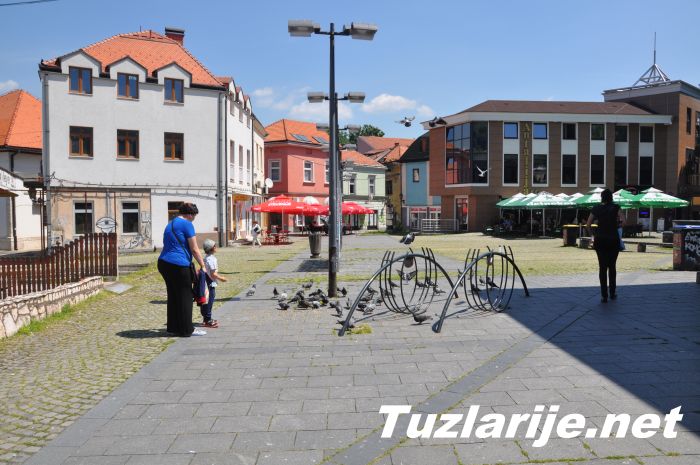 Tuzlarije