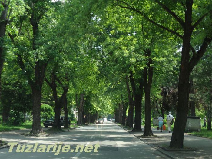 Tuzlarije