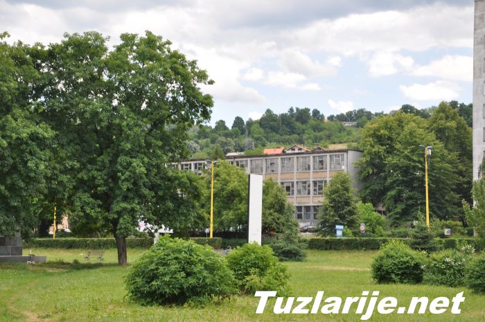 Tuzlarije
