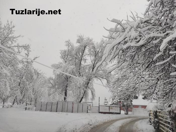 Tuzlarije