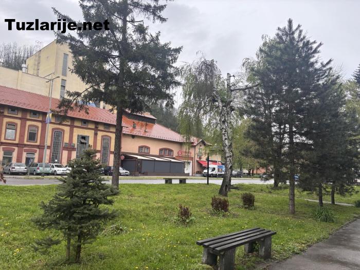 Tuzlarije