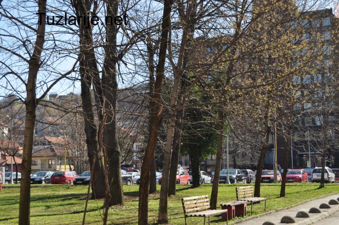 Tuzlarije