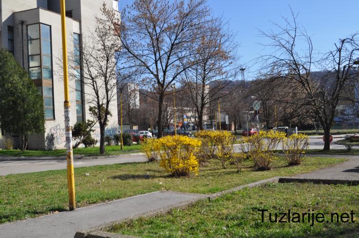 Tuzlarije