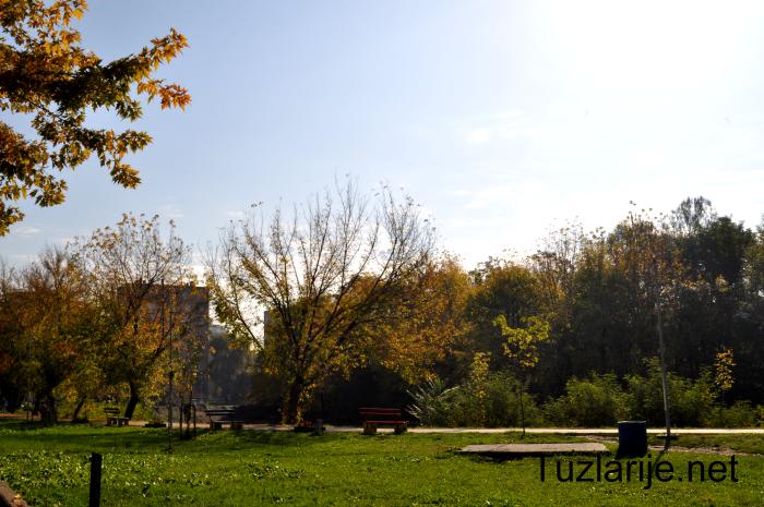 Tuzlarije