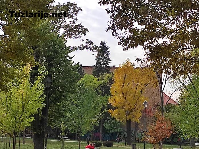 Tuzlarije
