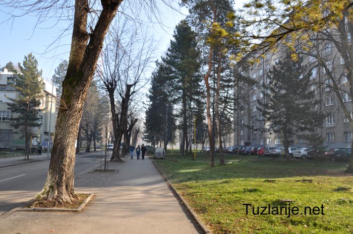 Tuzlarije