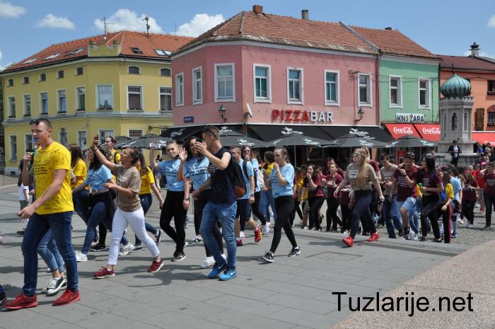 Tuzlarije