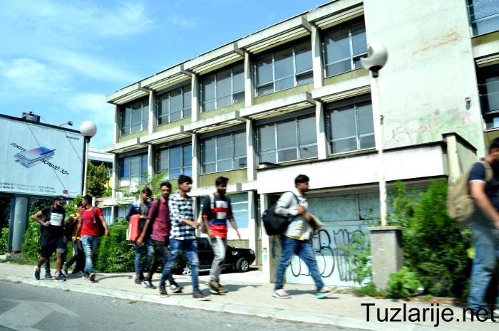 Tuzlarije
