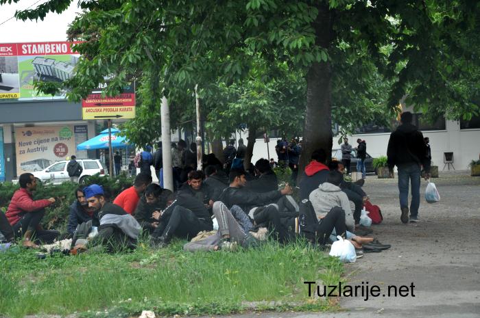 Tuzlarije