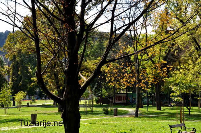 Tuzlarije