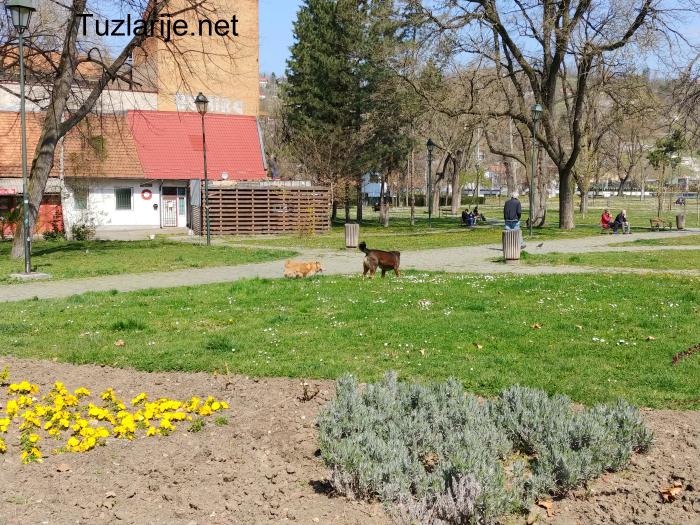 Tuzlarije