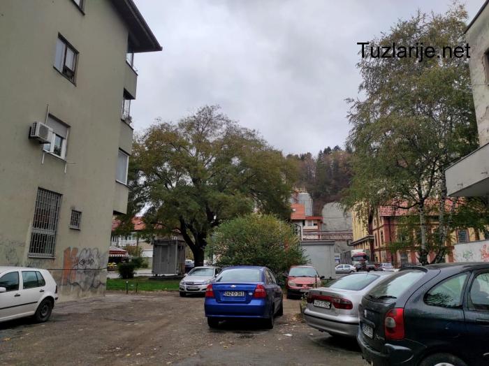 Tuzlarije