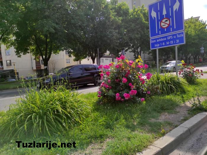 Tuzlarije