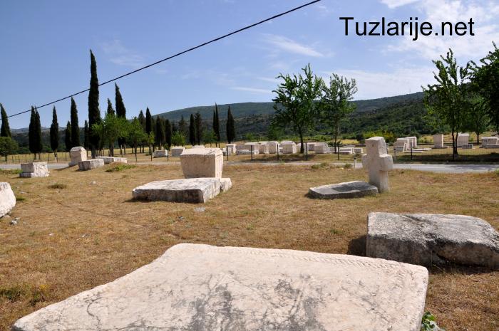 Tuzlarije
