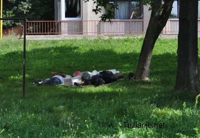 Tuzlarije