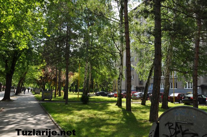 Tuzlarije
