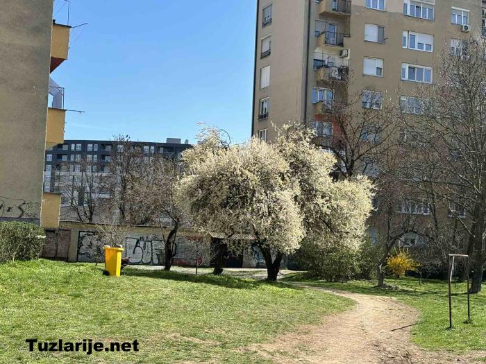 Tuzlarije