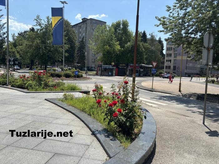 Tuzlarije