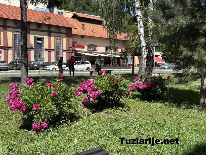 Tuzlarije