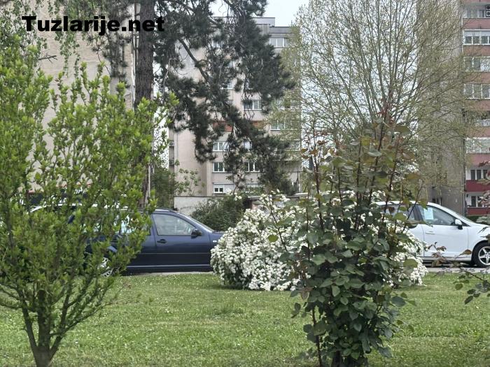 Tuzlarije
