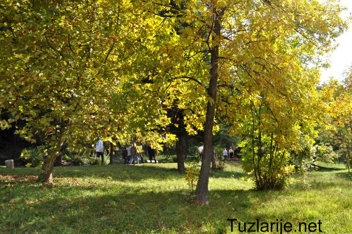 Tuzlarije