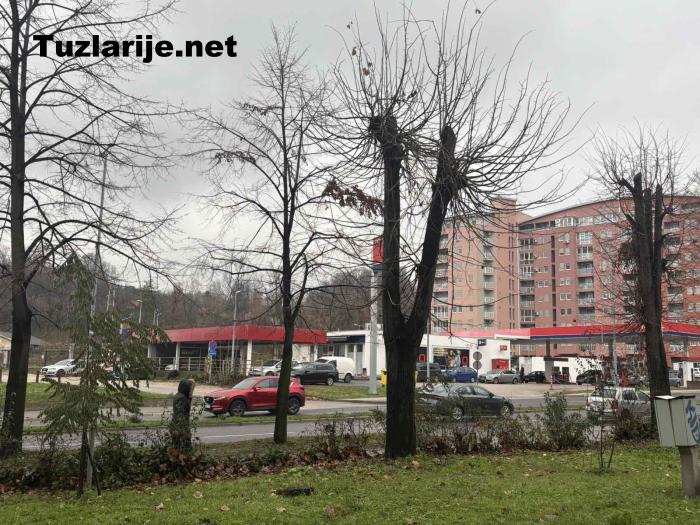 Tuzlarije
