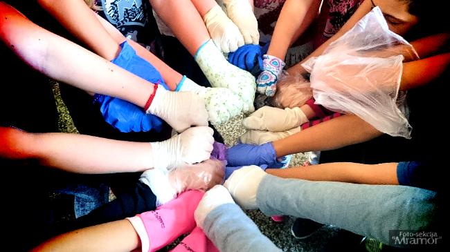Tuzlarije
