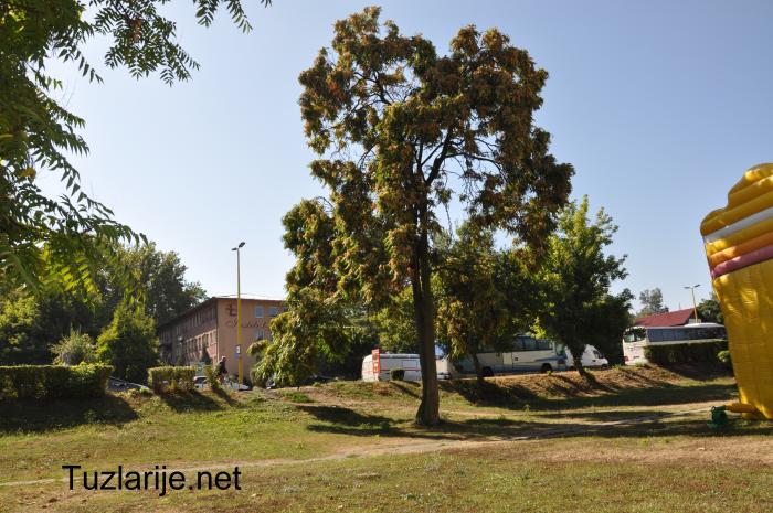 Tuzlarije