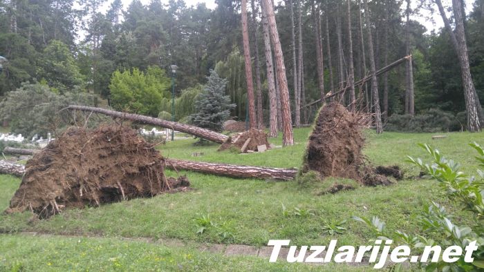 Tuzlarije