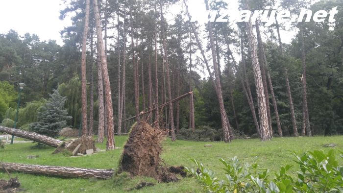 Tuzlarije