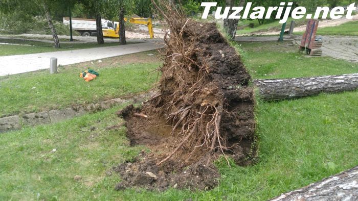 Tuzlarije