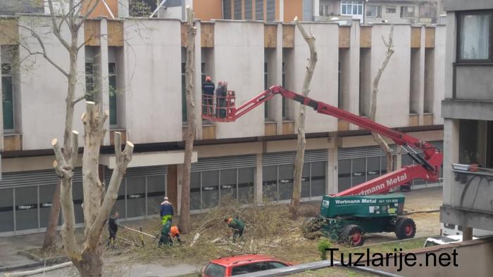 Tuzlarije