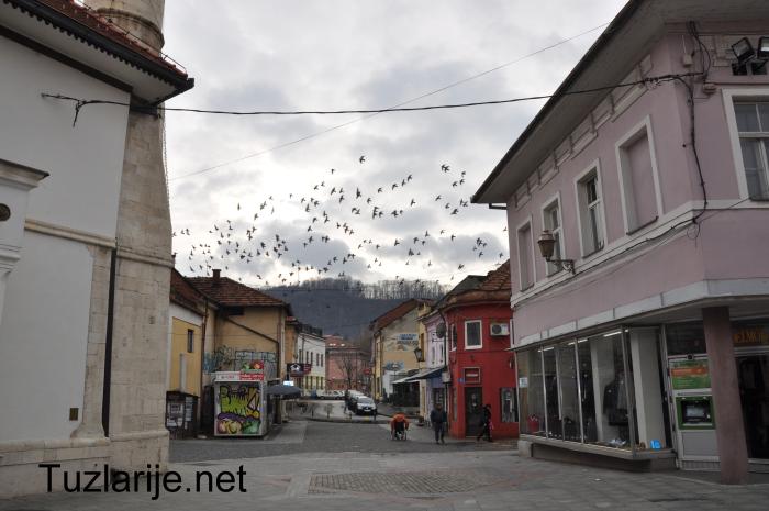 Tuzlarije
