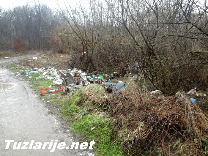 Tuzlarije