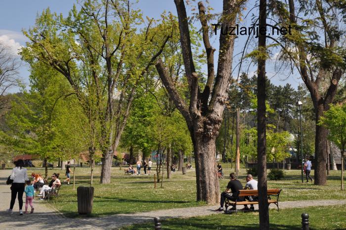 Tuzlarije