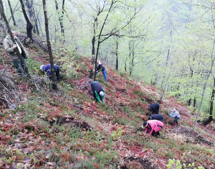 Tuzlarije
