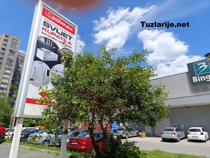 Tuzlarije