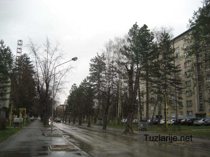 Tuzlarije