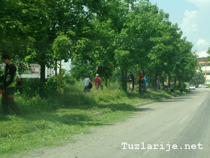 Tuzlarije