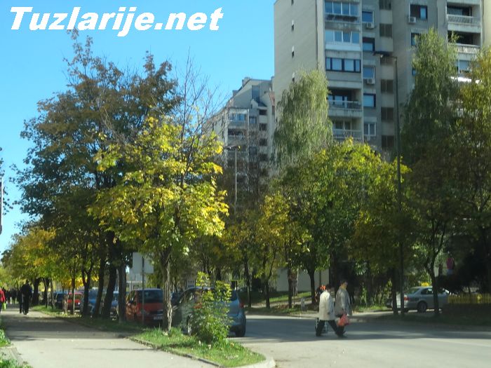 Tuzlarije